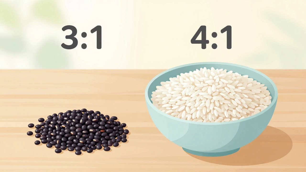 Visual comparison of rice and urad dal ratios for dosa batter